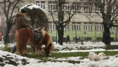 Muškarac sa ponijem šetao Sarajevom: Izazvali veliku pažnju