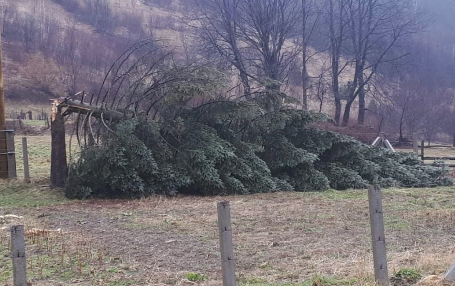 Za BiH izdato narandžasto upozorenje zbog olujnih udara vjetra