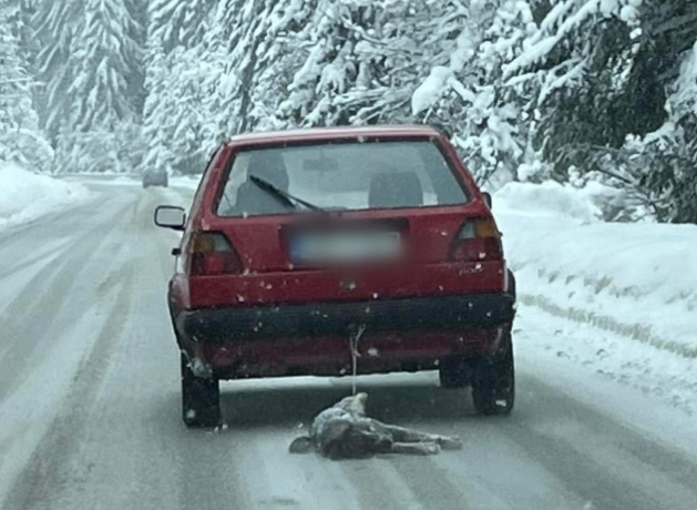 Pronađen vozač koji je golfom vukao psa