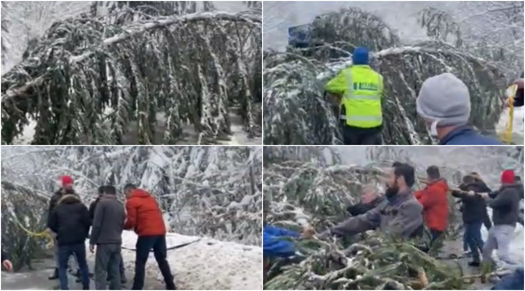 Usljed obrušavanja stabla uzrokovan kraći zastoj na putu Tuzla - Sarajevo