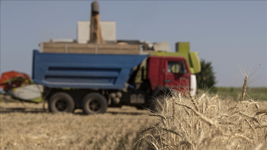 EU uvodi carine na uvoz ruskog i bjeloruskog žita