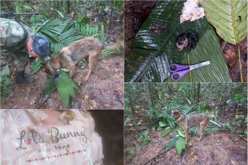 Čudesno preživljavanje četvoro djece u kolumbijskoj džungli nakon pada aviona
