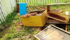 Medvjedi nanose velike štete pčelarima u Kupresu