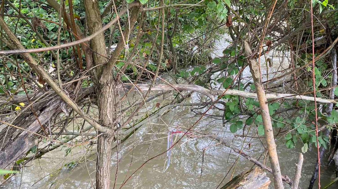 Detalji tragedije koja je potresla BiH: Dječak romobilom upao u potok, reanimacija ljekara bila bezuspješna