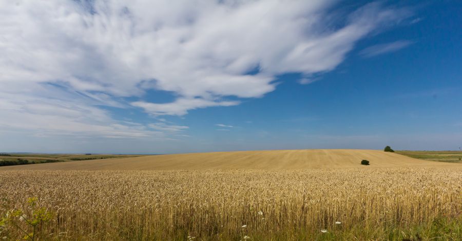 Uništenje brane u Ukrajini prijeti pretvaranjem žitnih polja u pustinju