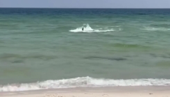 Dramatičan snimak agresivnog morskog psa, u plićaku plivao prema kupačima