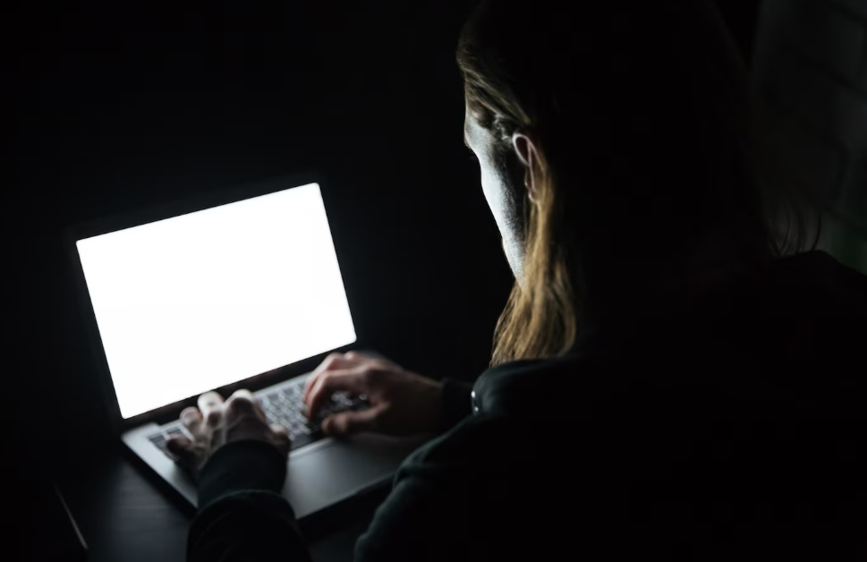 U Bijeljini za pola godine otkriveno 29 slučajeva dječije pornografije na internetu
