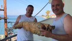 Srbijanac ispekao janje i ponio ga u Grčku na more: "Imam ručak za sedam dana"