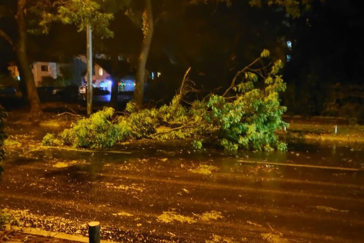 Nevrijeme u Banjoj Luci, dio grada bez struje, vjetar obarao drveće