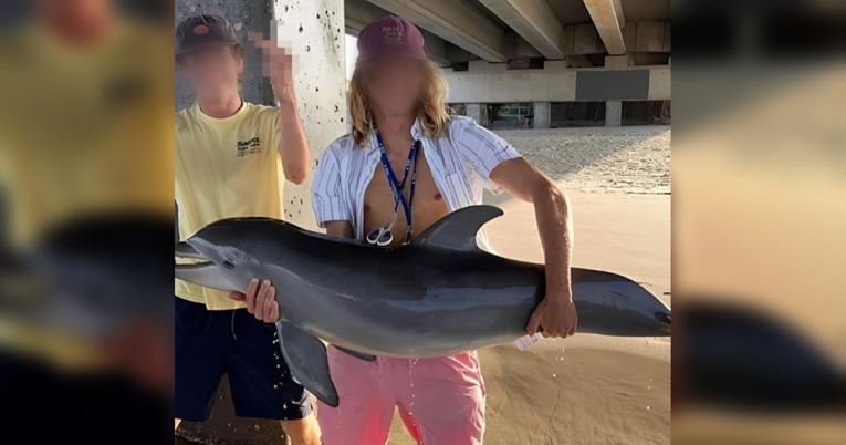 Beba delfina uginula nakon što je tinejdžer izvukao iz mora zbog fotografije?