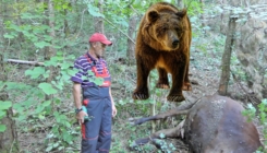 Hajrudin Krpić digao kredit da kupi kravu, a medvjed mu je ubio