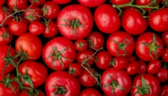 Zbog čega je paradajz preporučljivo konzumirati u zimskom periodu?