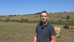 Inspirativna priča iz Busovače: Umjesto Golfa 7 kupio krave, danas ima oboje