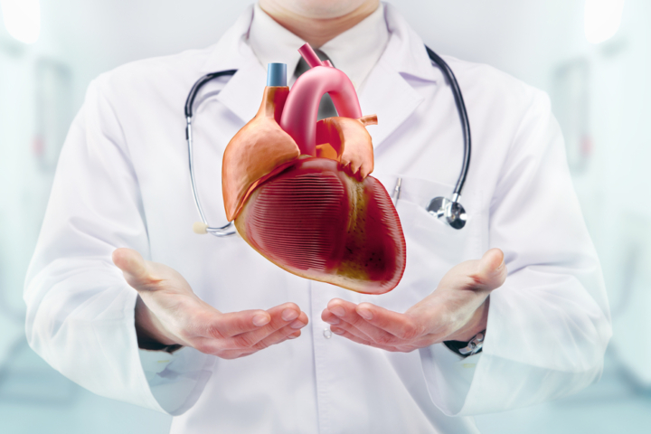 Veliki korak u medicini: Aortu priznali kao zaseban ljudski organ