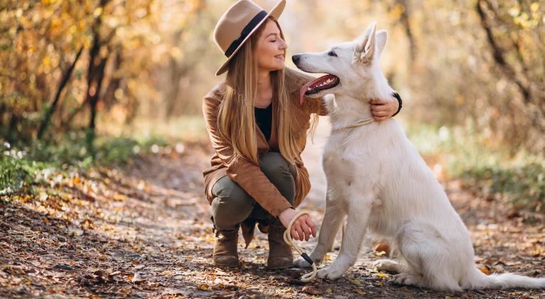 Tajni jezik pasa: Ovo su 4 razloga zašto vaš ljubimac gleda u vas