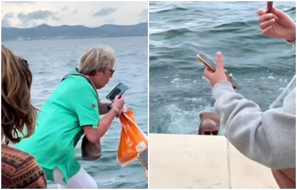 Hit snimak: Gospođa se zagledala u mobitel pa završila u moru