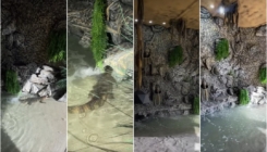 Kajmanski krokodil dobio novu nastambu u zoo vrtu Bingo 