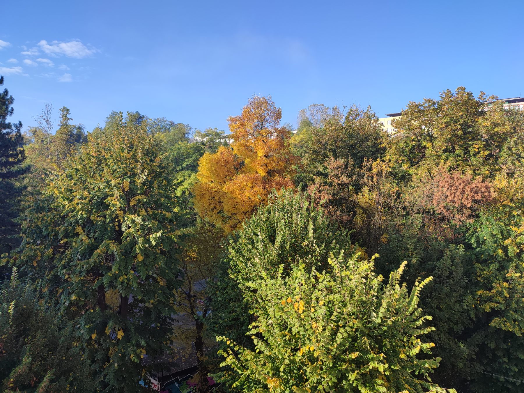 Narednih dana promjenljivo vrijeme s kišom, suncem i visokim temperaturama