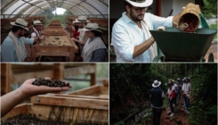 Kolumbijski krajolici kafe: Mjesto gdje se uzgaja najbolje zrno omiljenog napitka