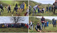 Vlada TK i Šume TK pokrenule ekološki megaprojekat pošumljavanja