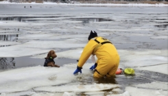 Vatrogasci spasili psa sigurne smrti, izvukli ga iz ledene rijeke