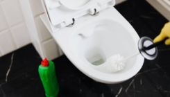 Mogu izazvati širok raspon zdravstvenih problema: Evo koliko često biste trebali mijenjati četku za WC!