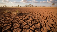 Katalonija proglasila vanredno stanje zbog suše, uvedena ograničenja za 5.9 miliona ljudi