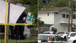 Užas na Havajima: Muškarac nasmrt izbo ženu i svoje troje djece