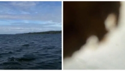 iPhone mu upao u more i nastavio snimati puna dva sata, video je viralan hit