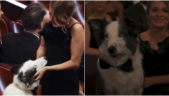 Zvijezda ovogodišnjeg Oscara: Ko je pas koji je sjedio u publici