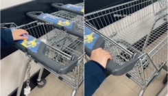 Ljudi oduševljeni: TikToker pokazao trik kako do kolica u prodavnici ako nemate kovanicu kod sebe