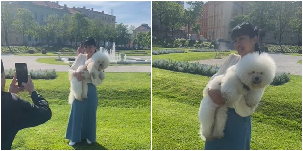 Turisti posudili psa Nine Badrić: "Toto je rođen da bude zvijezda"