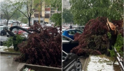 Tuzla: Uslijed nevremena stablo se obrušilo na parkirani automobil