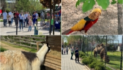 Proveli smo dan u Zoo vrtu Bingo: Zabava za cijelu porodicu