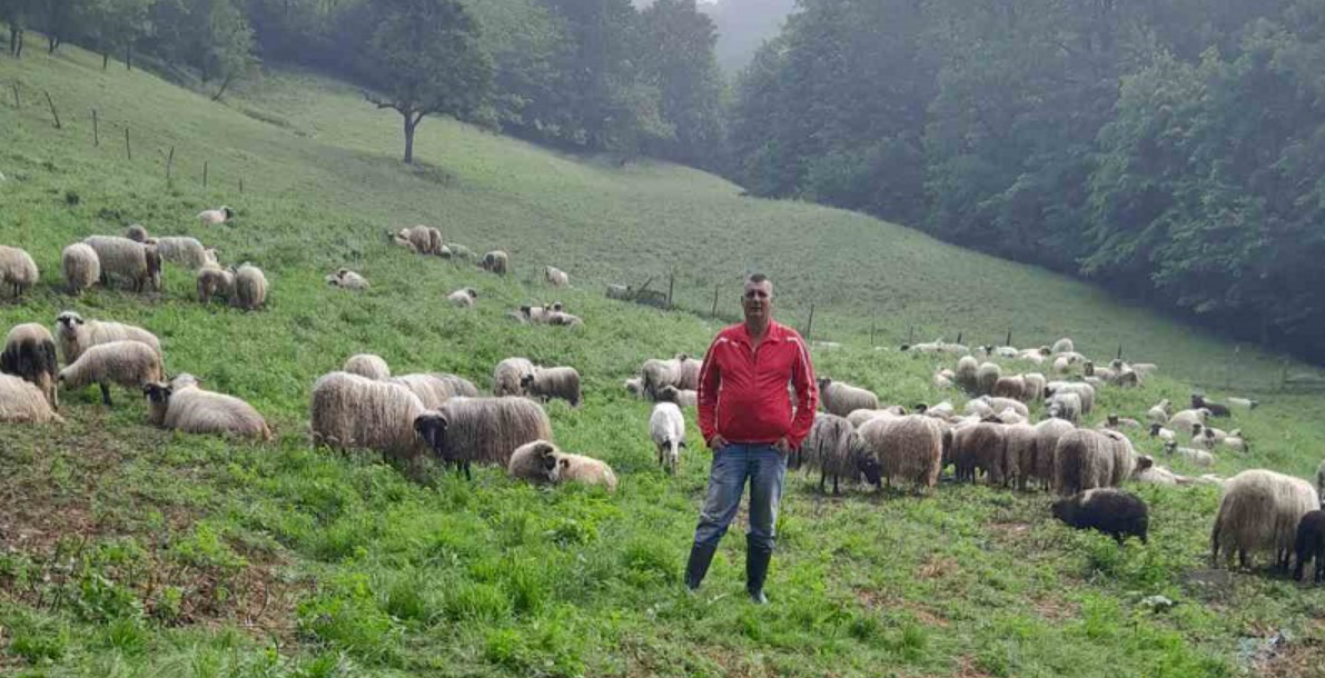 Nakon 23 godine na birou, Adnan iz Lukavca pokrenuo vlastiti biznis: Kad' su moje ovce sretne, i ja sam!