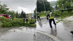 Posljedice nevremena: Stablo se obrušilo na saobraćajnicu, tuzlanski vatrogasci brzo reagovali