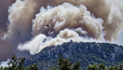 Usljed visokih temperatura: Grčka se bori sa šumskim požarima, prognoze zabrinjavaju
