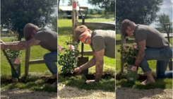 Beckhamova sadnja ruža postala viralna: "Svima nam je potreban vrtlar David"