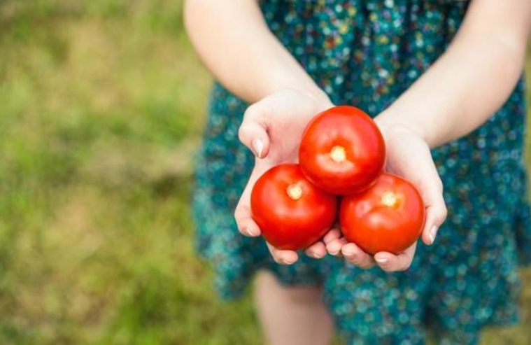 Evo kako pravilno čuvati paradajz: Iskusne domaćice znaju trik kako da bude svjež i do dvije nedjelje