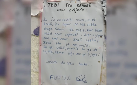 Žena u Sarajevu uputila poruku kradljivcu cvijeća: "Kod tebe nikad neće cvjetati i biti lijepo..."