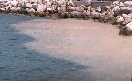 Stručnjaci objasnili šta su sluzave nakupine na Jadranu: Nije se ugodno kupati
