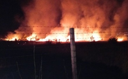 Požar kod Stoca još uvijek aktivan, gašenje otežava nepristupačan teren
