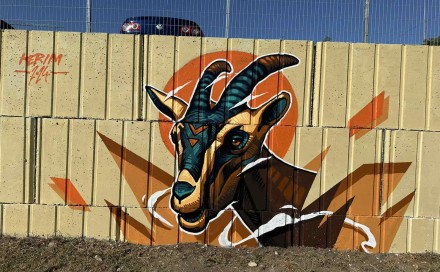 Novi murali osvanuli u Tuzli: Znamenitosti grada kroz oči mladih umjetnika