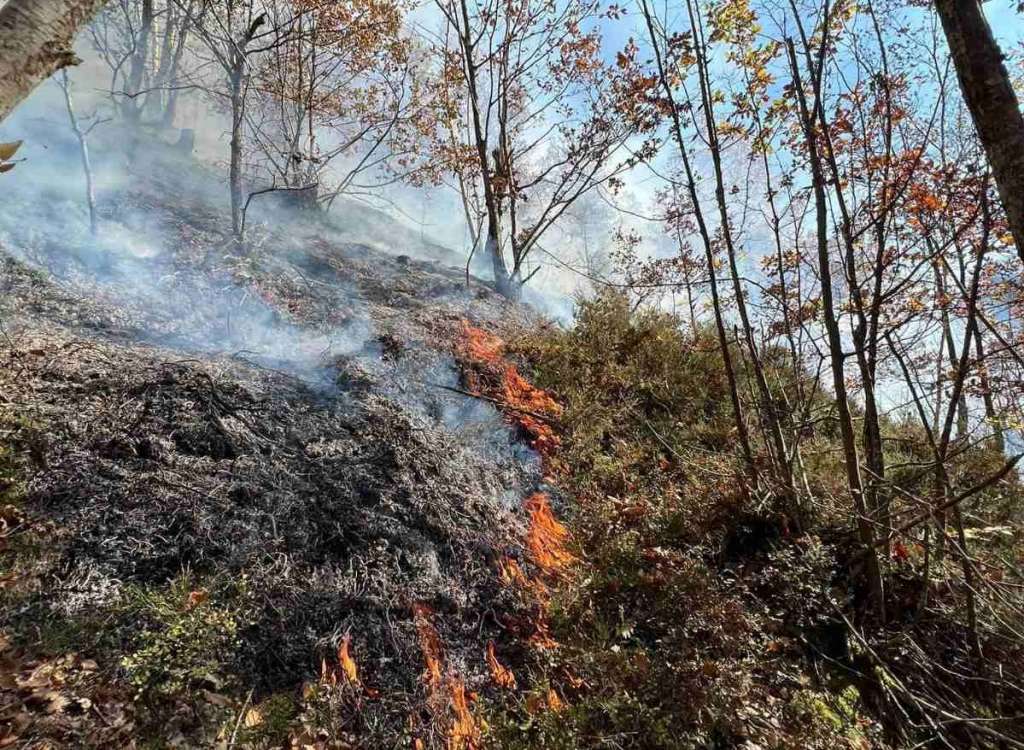 Požar kod Bugojna širi se prema kućama, stigao helikopter Oružanih snaga BiH