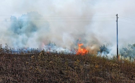 Požari niskog rastinja u Tuzlanskom kantonu sve veći problem, vatrogasci mole građane za oprez