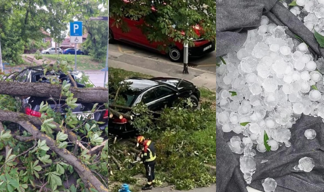 Nevrijeme u regiji: U Zagrebu padala stabla i letjeli krovovi