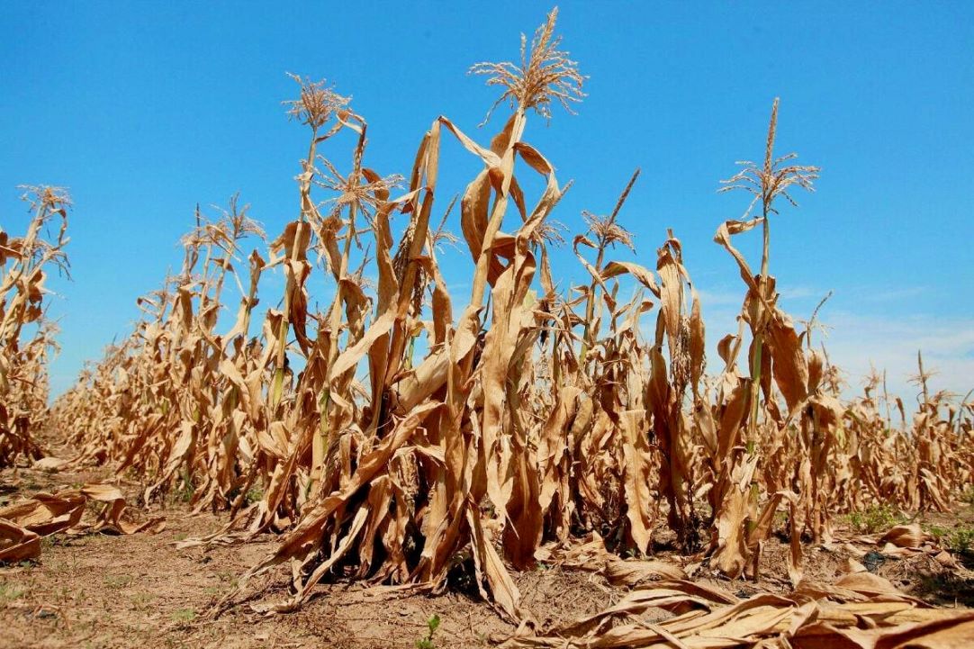 U narednih sedam dana u sličnom vremenskom ritmu: Nastavlja se period suše i visokih temperatura