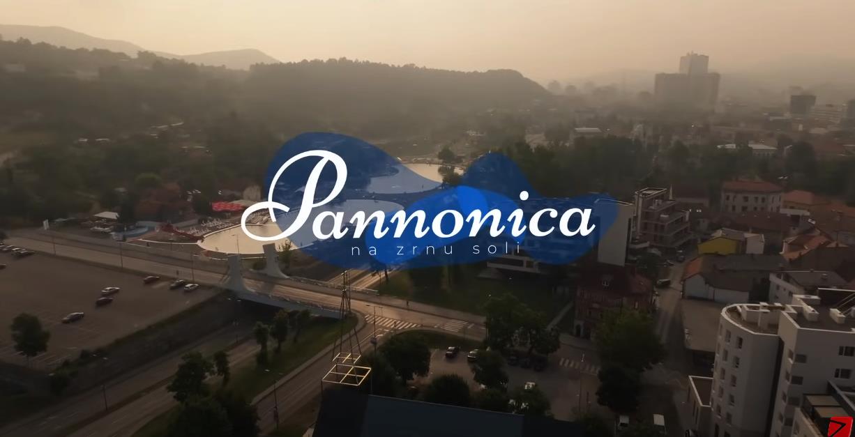 Film Dine Mustafića 'Panonica na zrnu soli' osvojio prvu nagradu festivala u Crnoj Gori