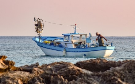 Hrvatska: U Jadranu se pojavila vrsta ribe koja ranije nije viđena u ovom moru