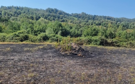 U protekla 24 sata vatrogasci u TK gasili 15 požara: Najčešće gori nisko rastinje